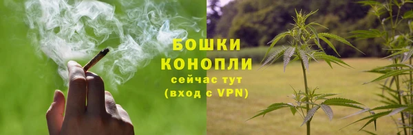 крисы Белоозёрский