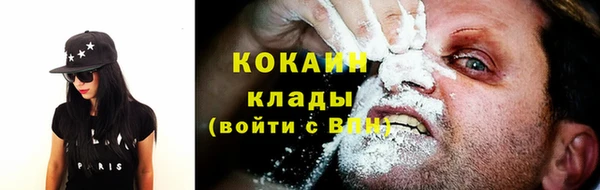 крисы Белоозёрский