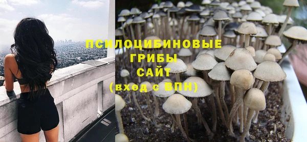 MDMA Premium VHQ Богородицк