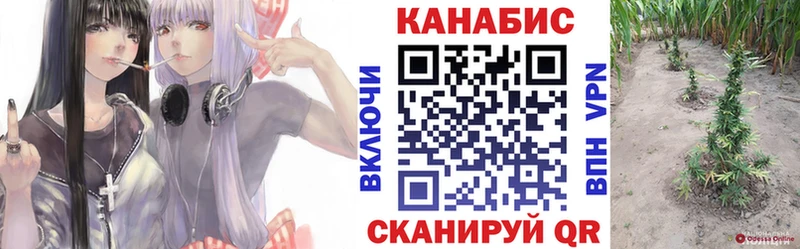 Конопля SATIVA & INDICA  Белоярский 